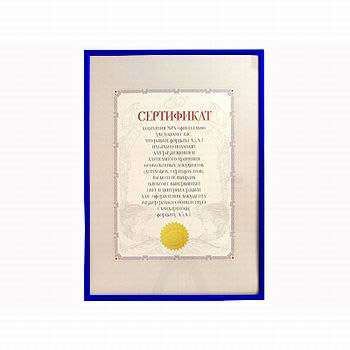 MPA Рамка 21х29,7 Blue (6602-a4)